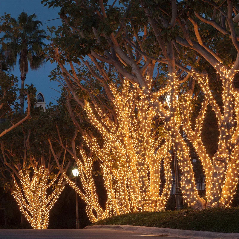 Led Garland